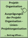 ViProMan - Linienprojektorganisation