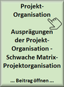 ViProMan - Schwache Matrix-Projektorganisation