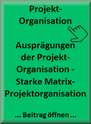 ViProMan - Starke Matrix-Projektorganisation